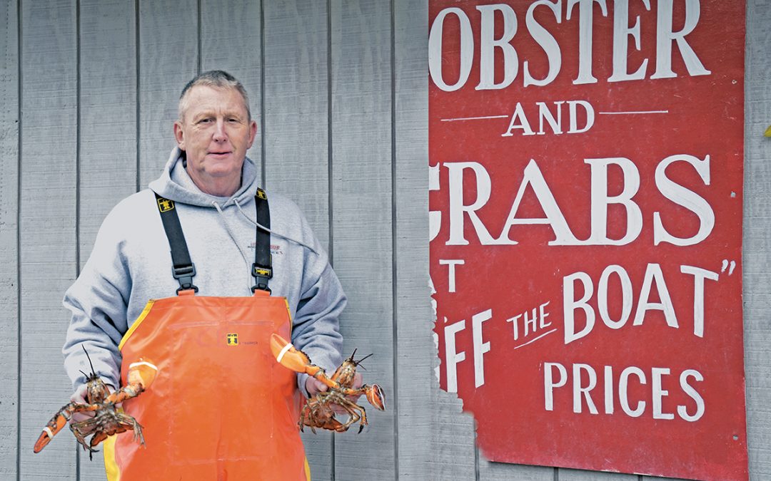 Researchers Look at Direct Sales of Lobster