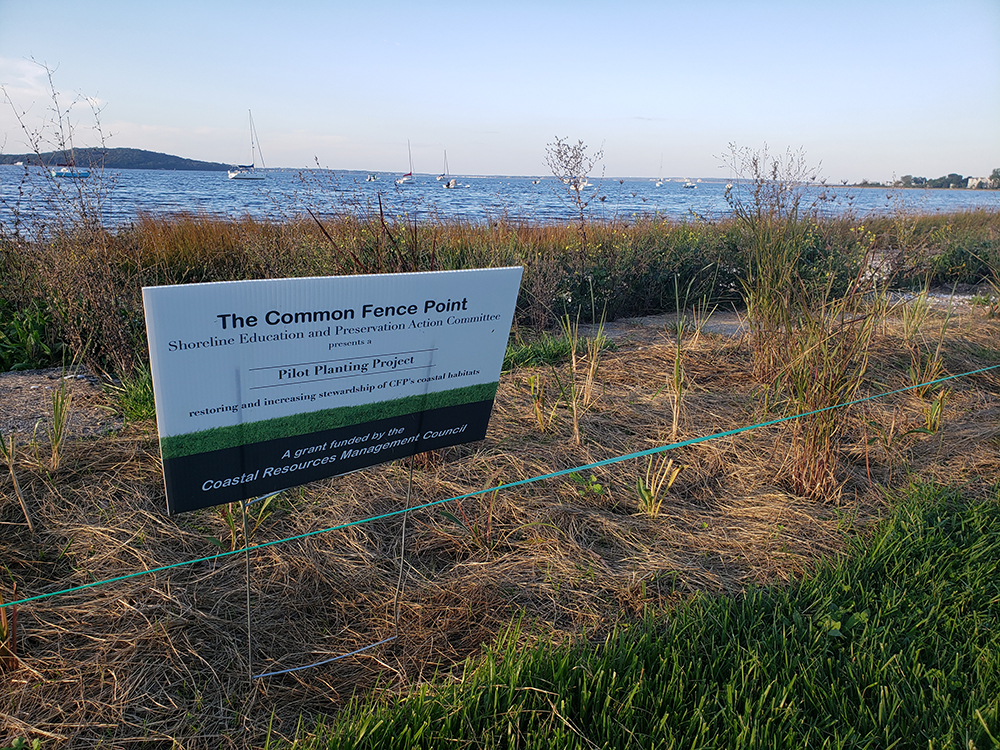 Common Fence Point pilot planting project sign posted on restoration area near the water.
