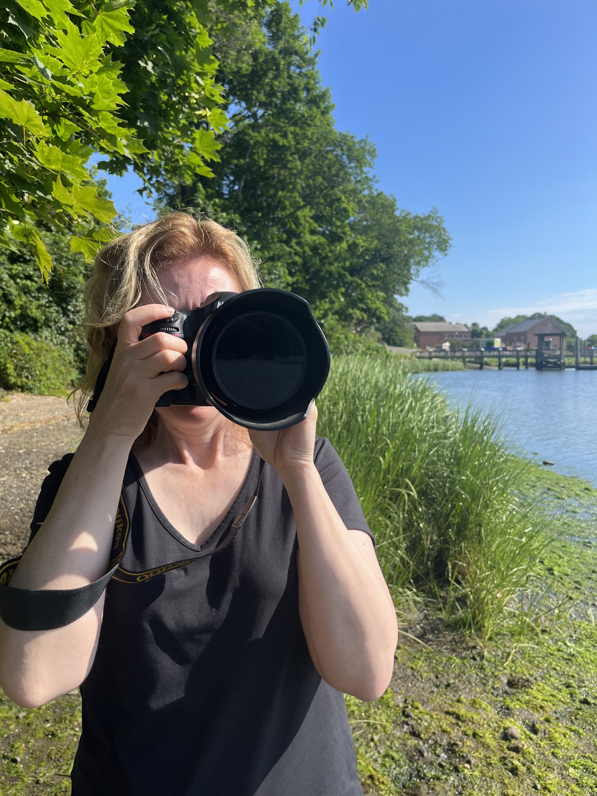 Monica_shoreline_app