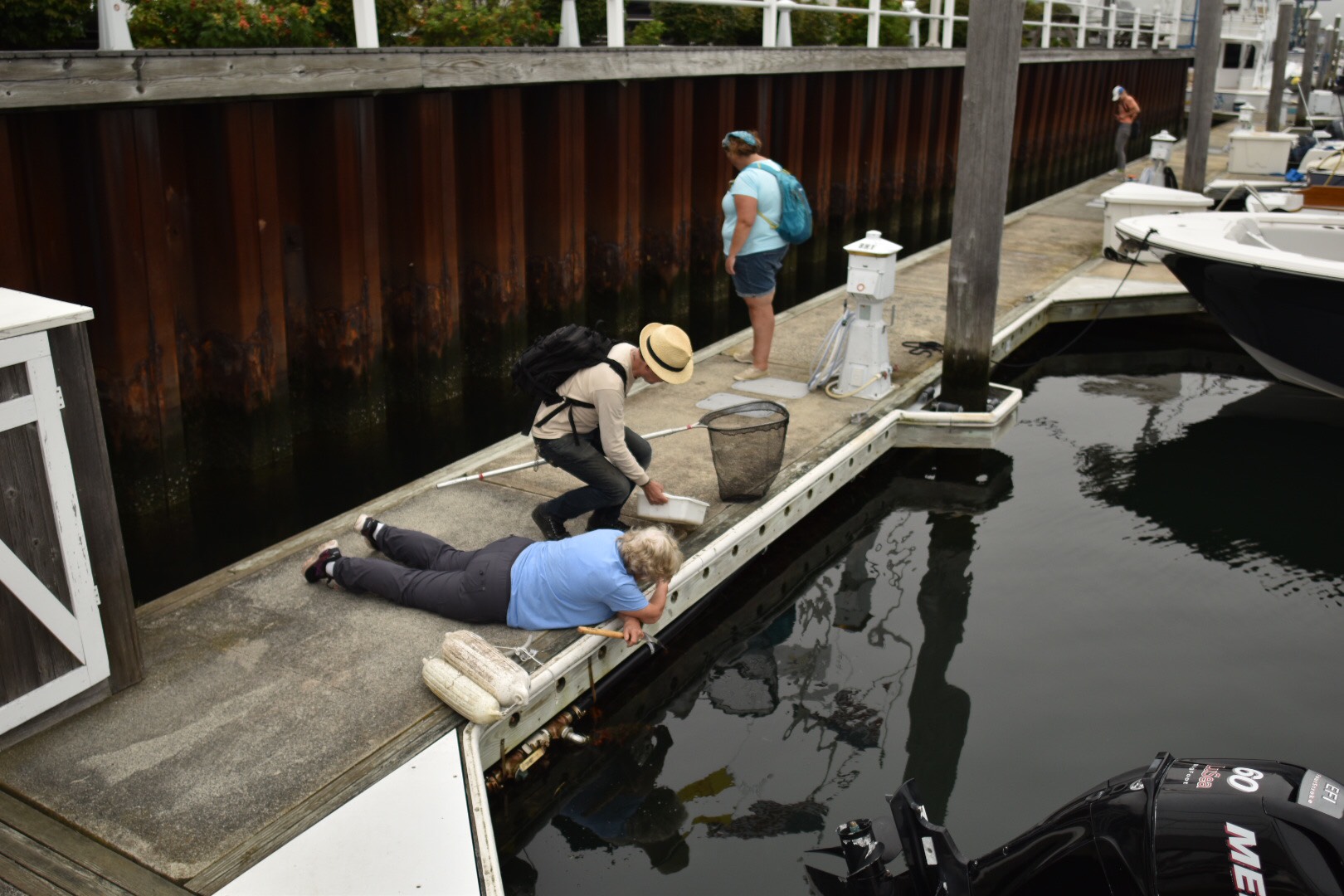 Volunteers take samples over the dock's edge at Point Judith marina to check for new invasive species as part of the New England Rapid Assessment 