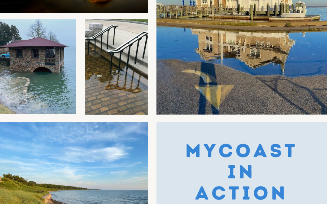 Webinar: Learn How MyCoast Photos Are Being Used for Planning and Restoration