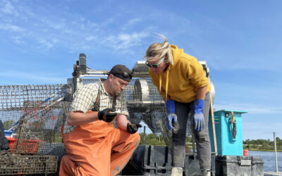 Rhode Island Sea Grant Receives $234,000 for Advanced Aquaculture Training