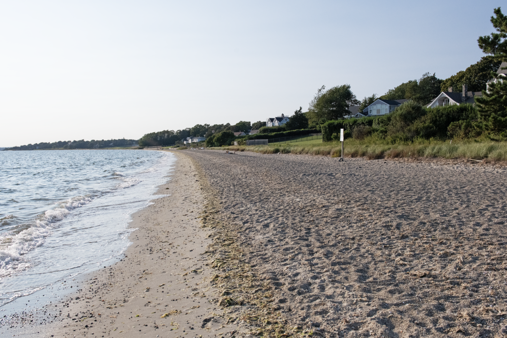 Barrington Beach with vegetation and housing in the background