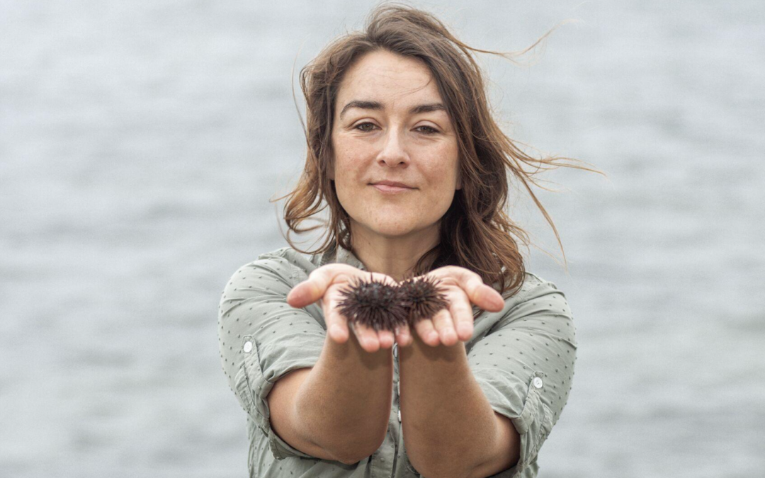 Sea Urchin Farming New England’s Next Aquaculture Frontier