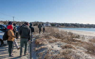 URI Landscape Architecture Students to Design Solutions to Protect Jamestown Beach, Access Road from Sea Level Rise