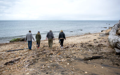 Artificial Reef Model Shows Promise for Reducing Erosion on Block Island
