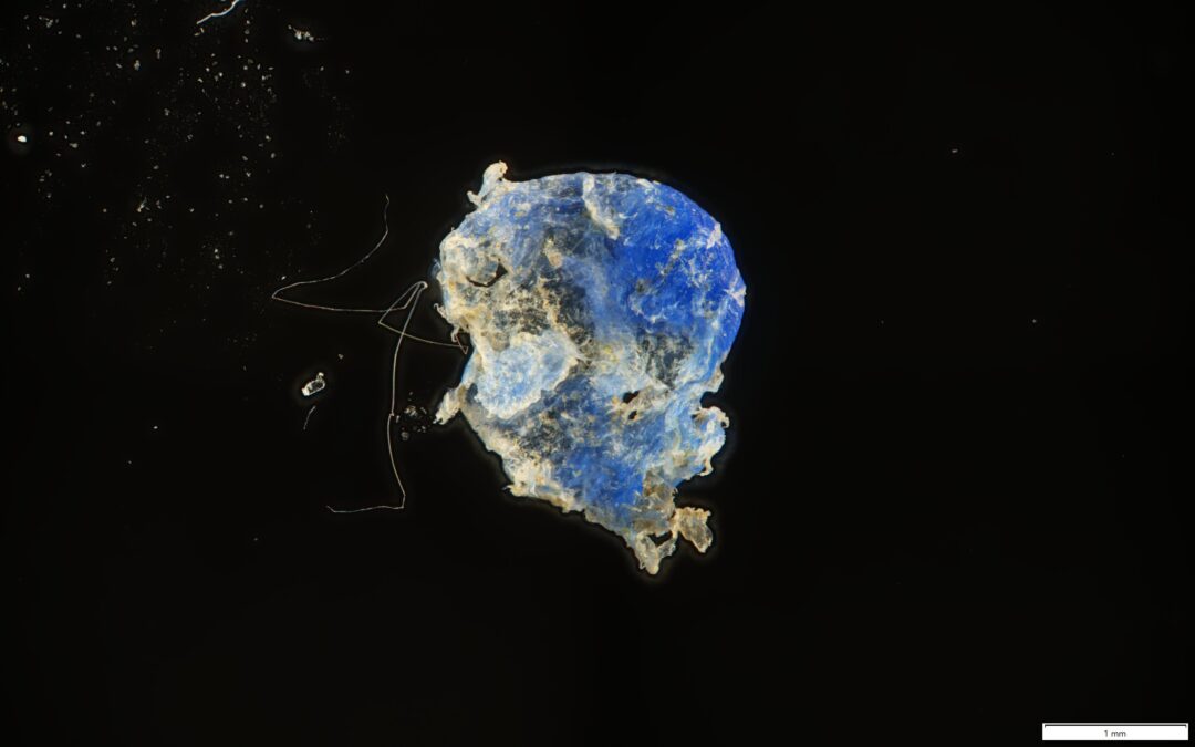Microplastic Hot Spots in Narragansett Bay Driven by Urban Runoff and Wind, New Study Finds