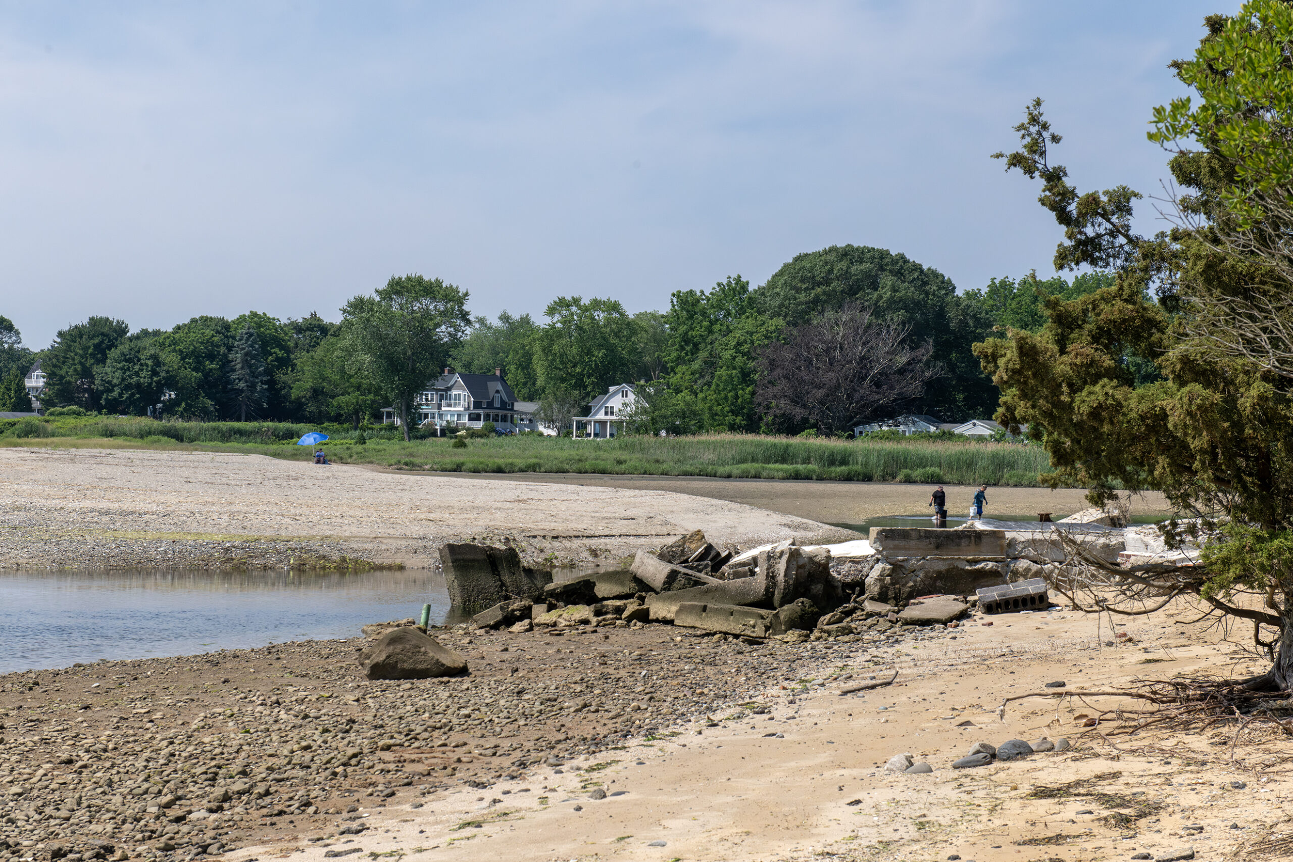 DSC_5551-marsh-debris Old foundations visible at Conimicut Marsh