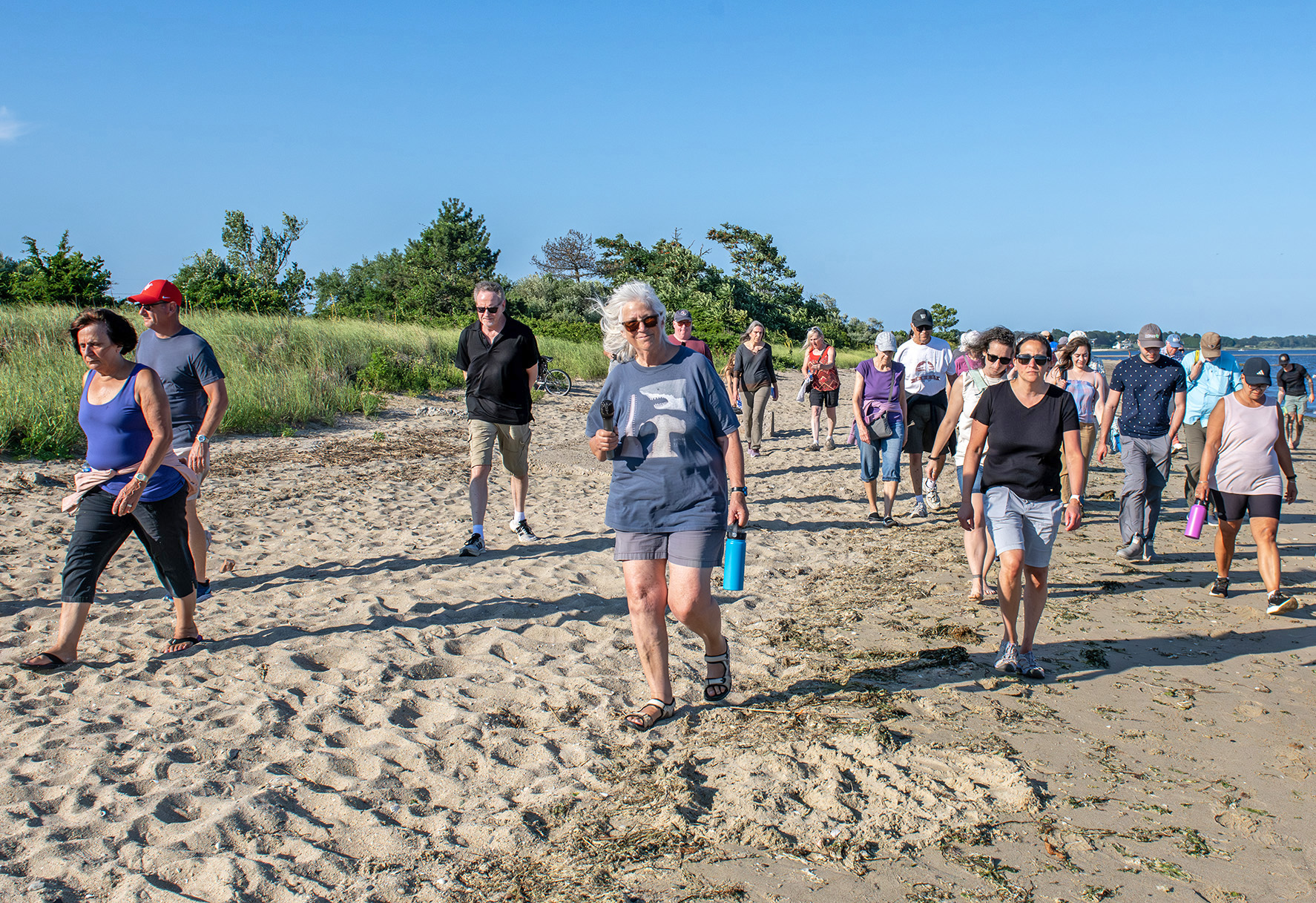 DSC_5853-janet-freedman-crop Janet Freedman leads a group walking across a beach