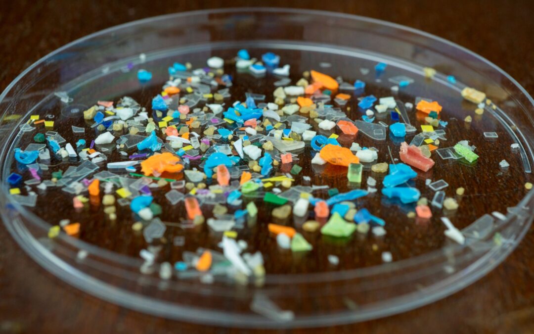 Sea Grant Investment Spurs Cutting-Edge Technology for Plastic Pollution Research