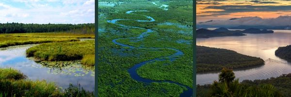 The Space in Between: The Overlooked Role of Inland and Coastal Waters in Shaping the Global Nitrogen Cycle
