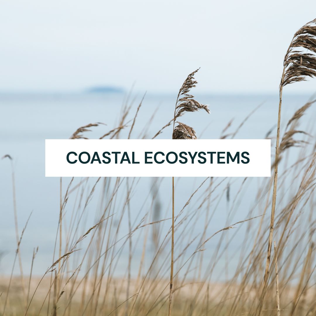 2 Coastal Ecosystems