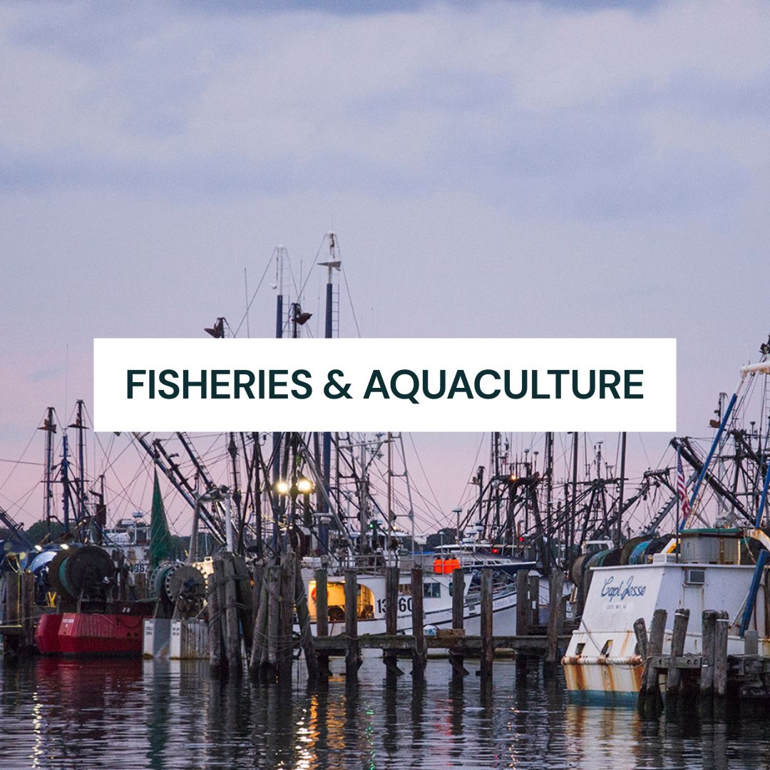 4 Fisheries and Aquaculture
