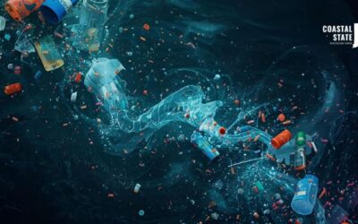 Microplastics in Narragansett Bay: Hotspots, Pathways, and Solutions