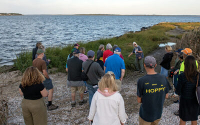 Uncovering Shoreline Access in Warwick’s Potowomut Neighborhood