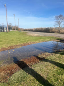 Flooding in a grassy area in Jamiel's Park