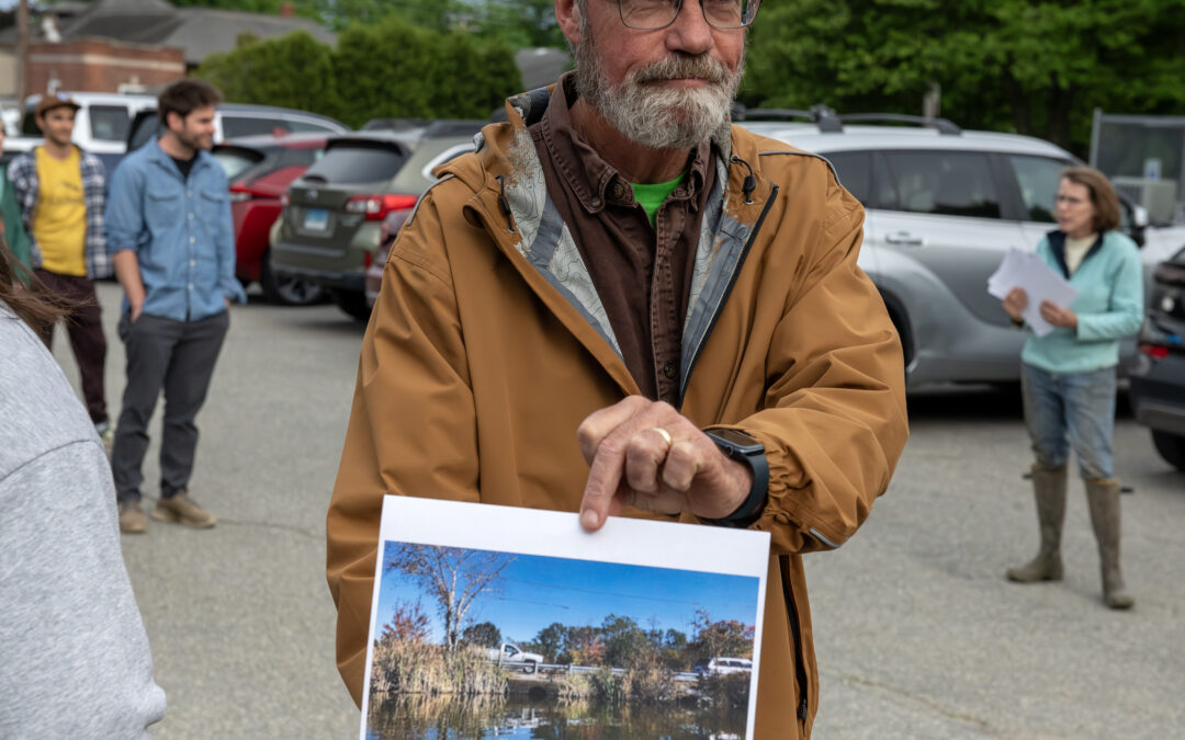 Dam removal bringing osprey, bald eagles back to Kickemuit River