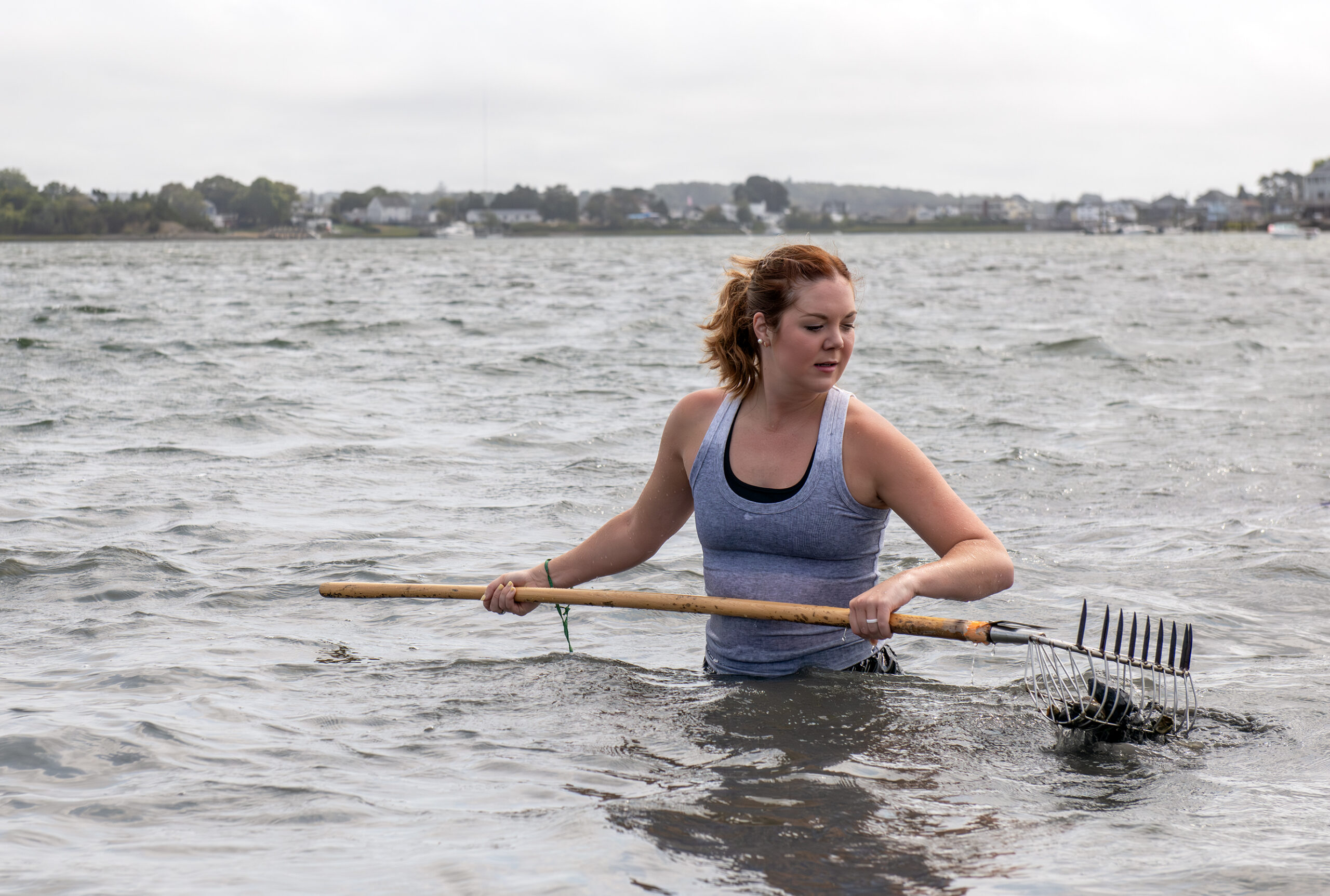A person standing in waitst-deep water lifts a clamming rake