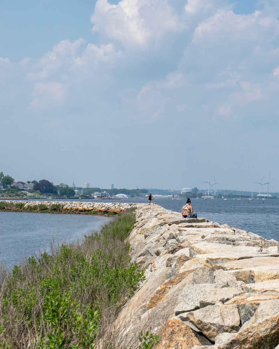 An image of Shoreline Hardness or a jetti with people walking across it
