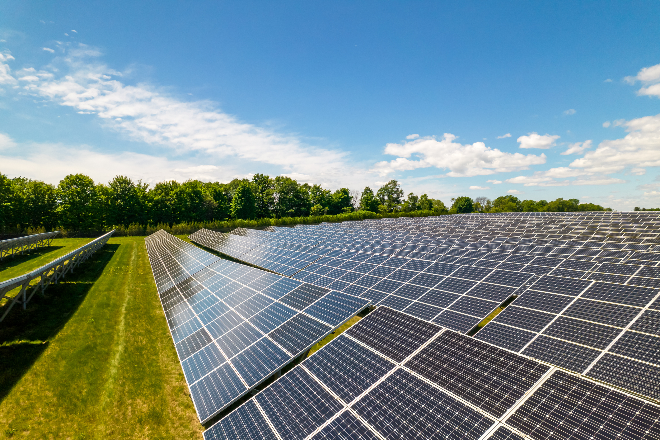 Rows of solar panels in a field surrounded by trees
