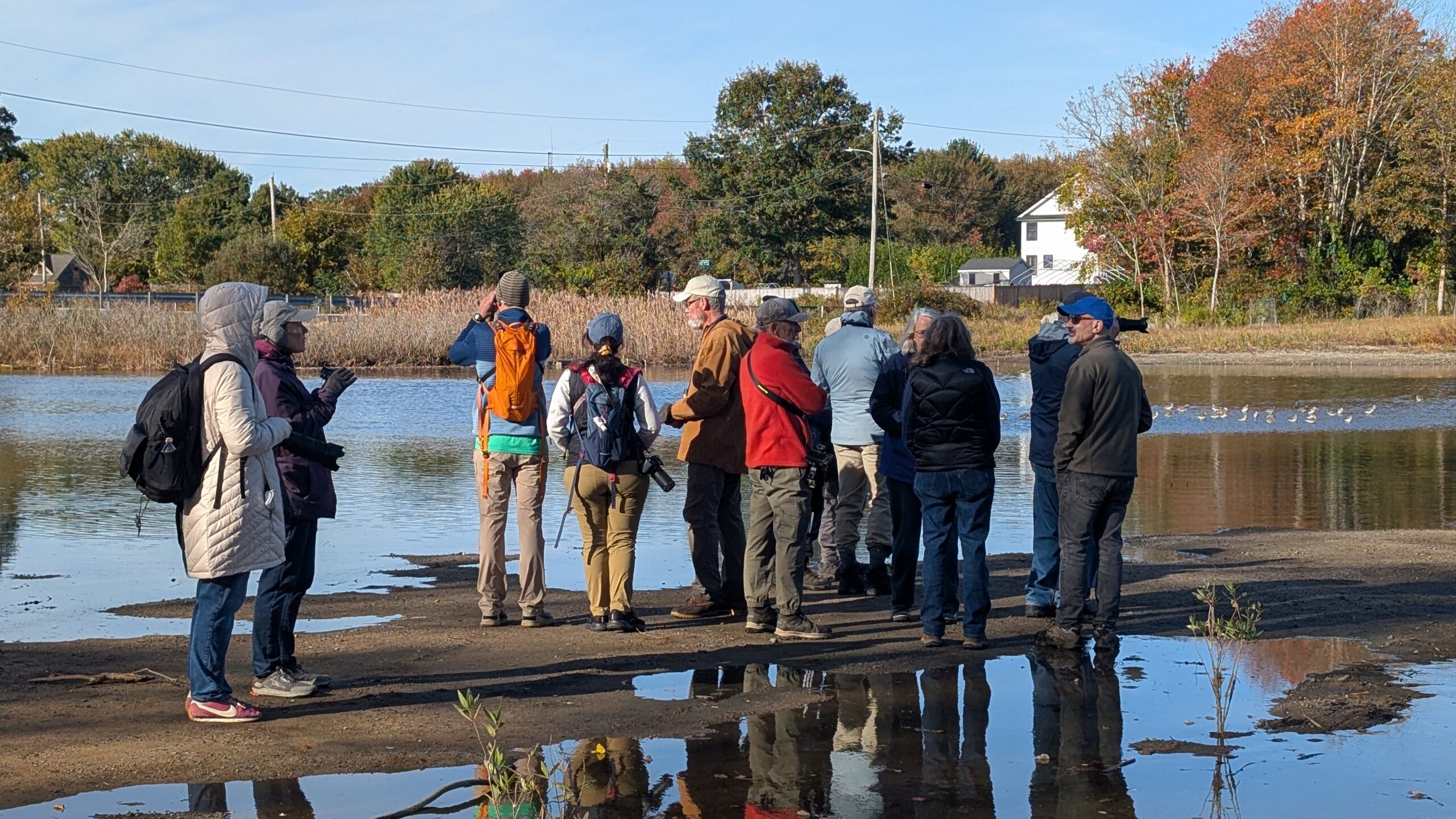 a group of people looking out to the birds