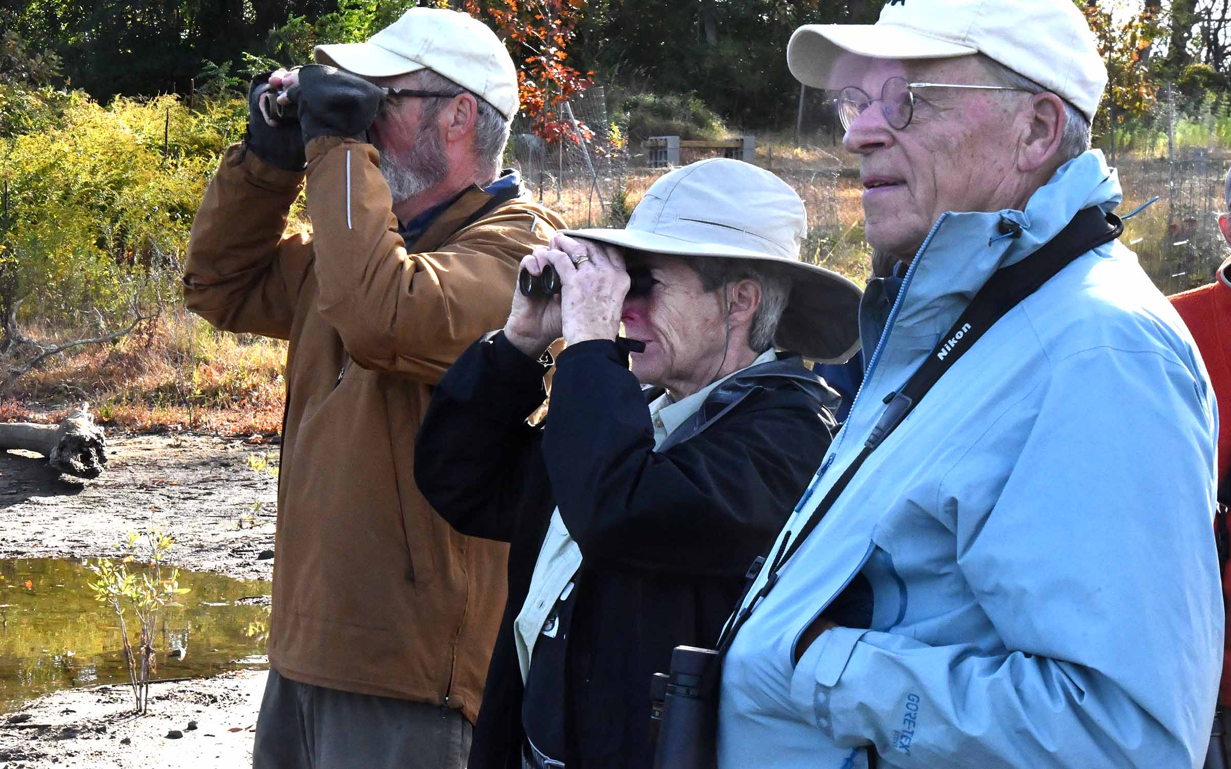 People using binoculars to see the birds